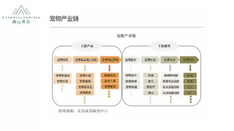 寵物食品銷售 在消費升級浪潮中掘金新藍海
